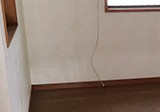 寝具とその周りの不用品回収作業 寝具とその周りの不用品回収作業