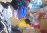 ゴミ屋敷の衣類や段ボールなど小物類の回収 ゴミ屋敷の衣類や段ボールなど小物類の回収