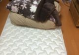 ベッドマットとこたつの処分 ベッドマットとこたつの処分